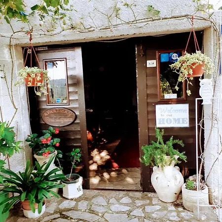 Pod Lipom Apartment Roc