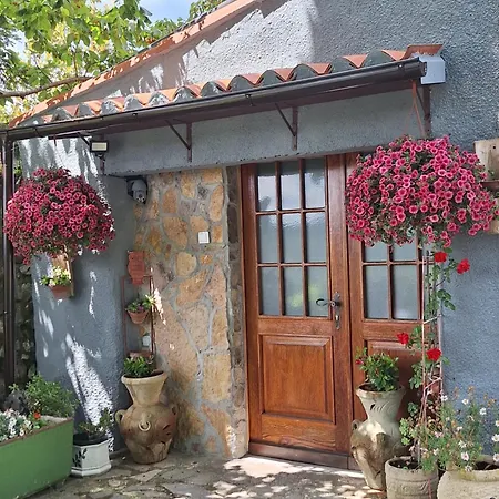 Apartmán Pod Lipom Roč